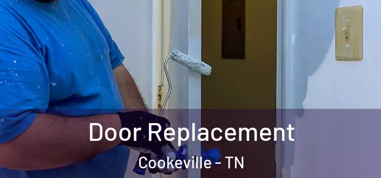Door Replacement Cookeville - TN