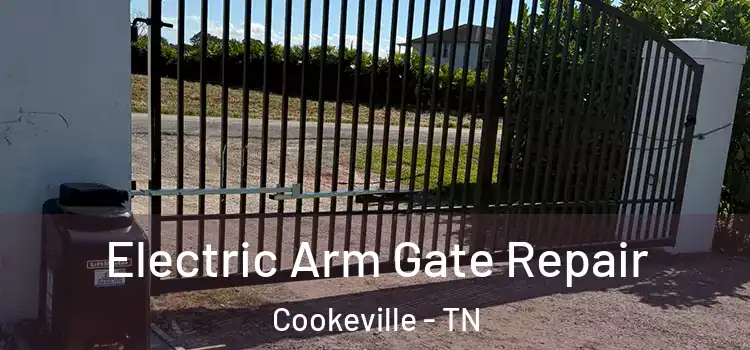 Electric Arm Gate Repair Cookeville - TN