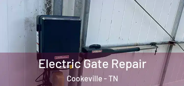  Electric Gate Repair Cookeville - TN