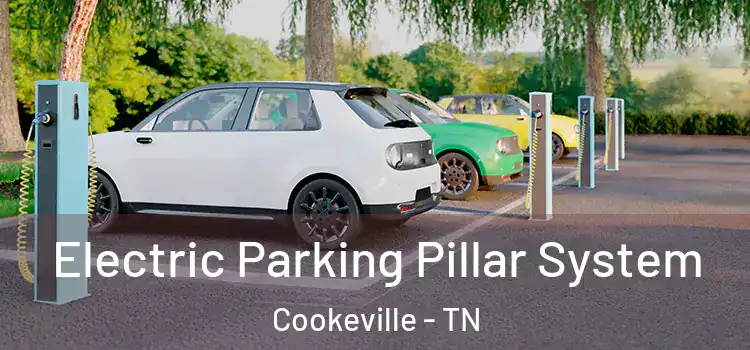 Electric Parking Pillar System Cookeville - TN