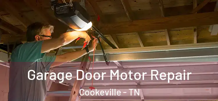  Garage Door Motor Repair Cookeville - TN