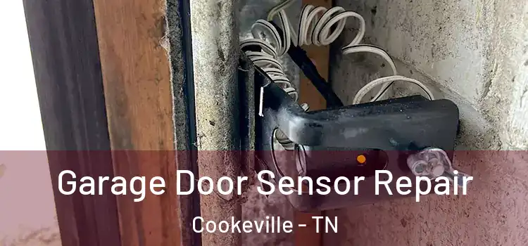 Garage Door Sensor Repair Cookeville - TN