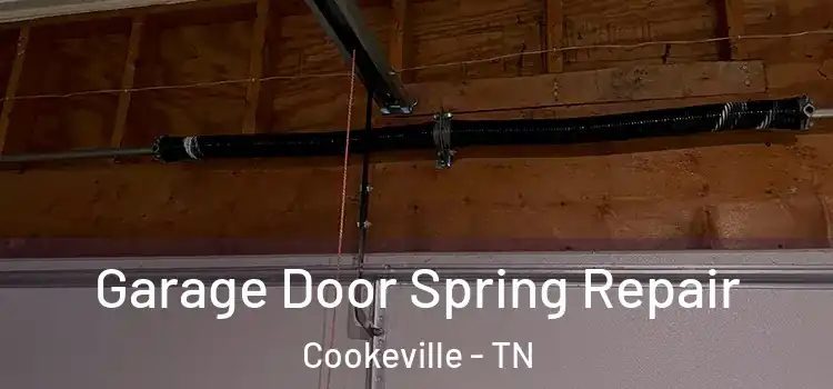  Garage Door Spring Repair Cookeville - TN