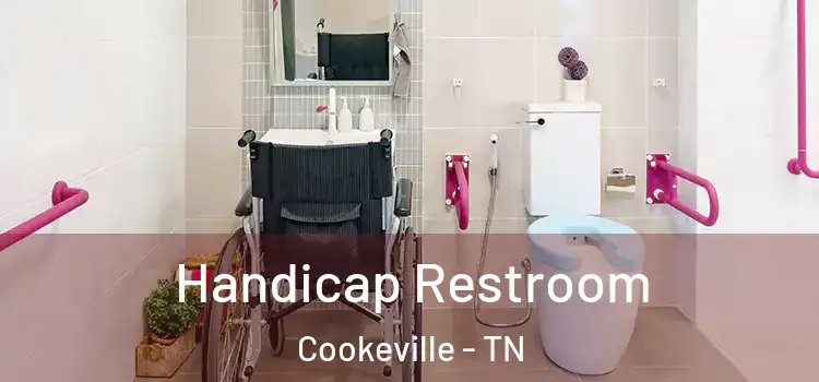 Handicap Restroom Cookeville - TN