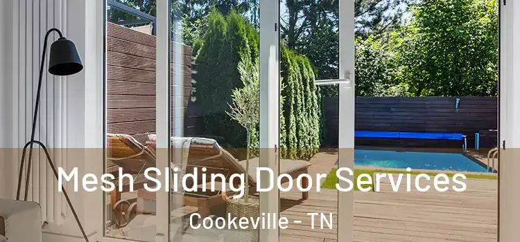 Mesh Sliding Door Services Cookeville - TN