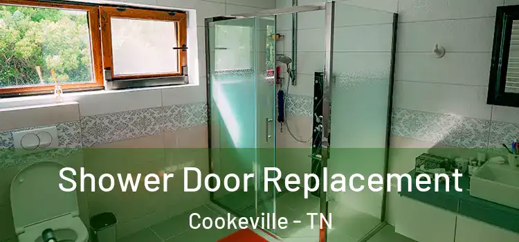 Shower Door Replacement Cookeville - TN