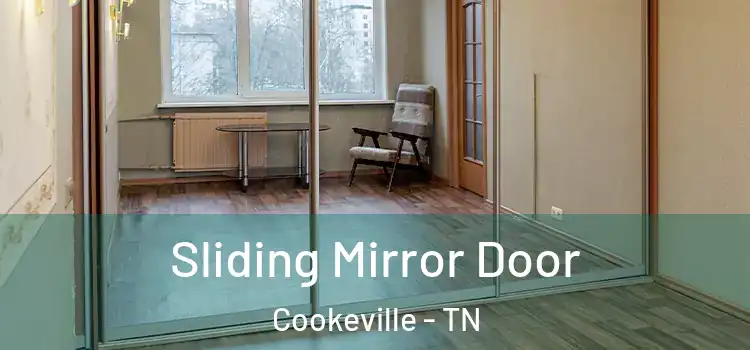 Sliding Mirror Door Cookeville - TN
